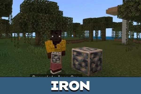 Iron from Ore Borders Texture Pack for Minecraft PE