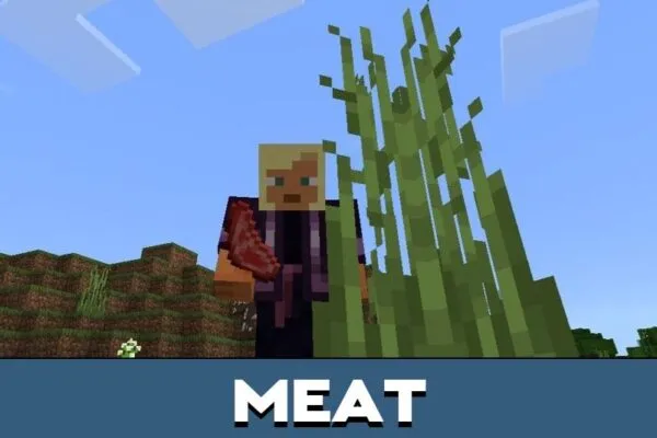 Meat from Auto Inventory Mod for Minecraft PE