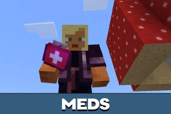 Meds from Mod for Minecraft PE