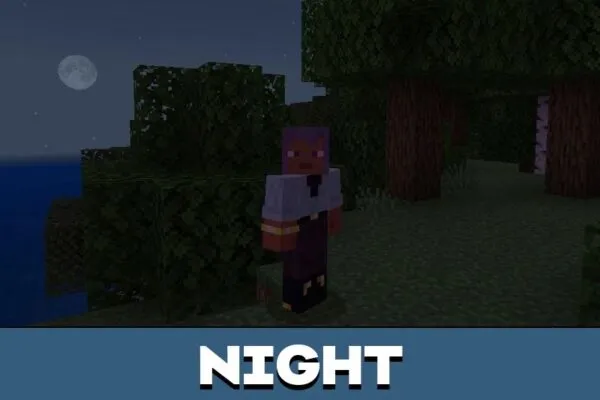 Night from Moon Texture Pack for Minecarft PE