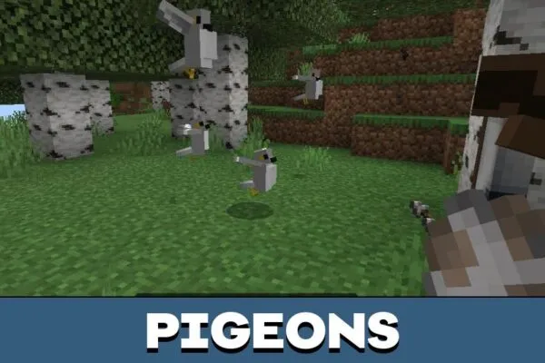 Pigeon from City Mobs Mod for Minecraft PE