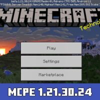 Minecraft 1.21.30.24