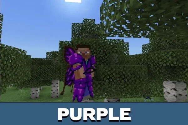 Purple Wings from Fairy Mystery Mod for Minecraft PE