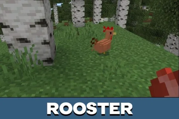 Rooster from Domestic Pets Mod for Minecraft PE