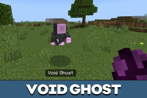 Void Ghost from End Dangers Mod for Minecraft PE