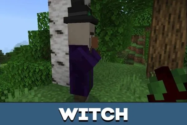 Witch from Random Mob Effects Mod for Minecraft PE