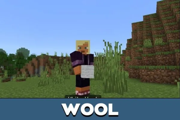 Wool from Auto Inventory Mod for Minecraft PE