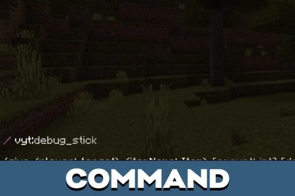 Command from Debug Stick Mod for Minecraft PE