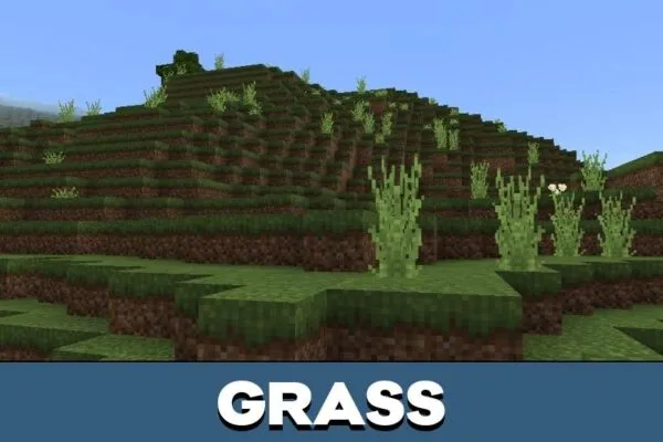 Grass from Stay True Texture Pack for Minecraft PE