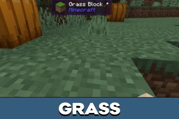 Grass from WAILA Mod for Minecraft PE