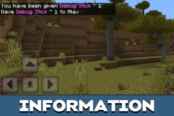 Information from Debug Stick Mod for Minecraft PE