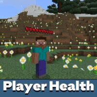 Player Health Indicator Mod for Minecraft PE