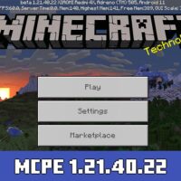 Minecraft 1.21.40.22