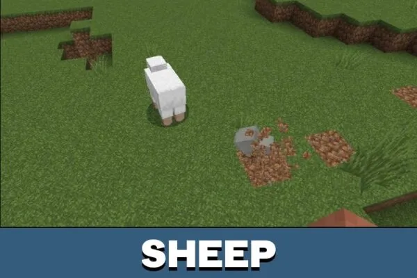 Sheep from Faithful Texture Pack for Minecraft PE