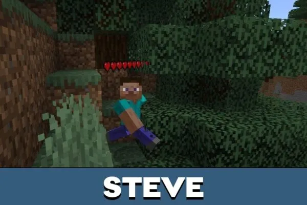 Steve from Player Health Indicator Mod for Minecraft PE