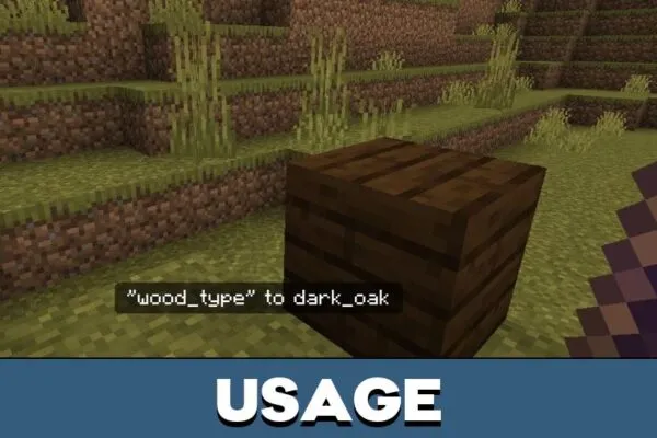 Usage from Debug Stick Mod for Minecraft PE