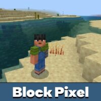 Block Pixel Texture Pack for Minecraft PE