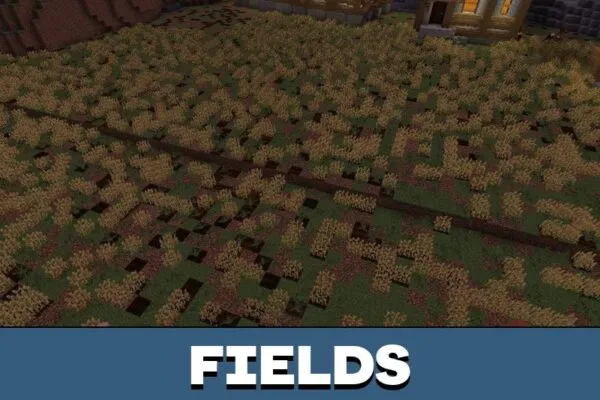 Fields from Pirates Region Map for Minecraft PE