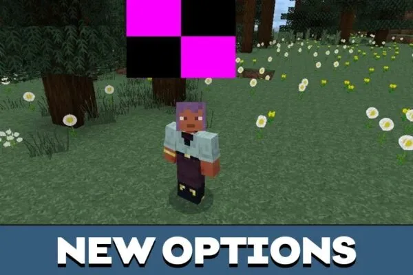 Options from Anti Cheat Mod for Minecraft PE