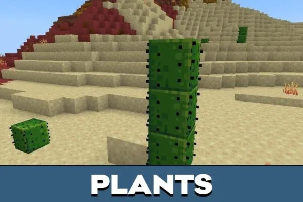 Plants from Block Pixel Texture Pack for Minecraft PE