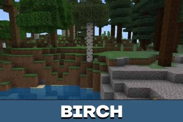 Birch from More Tree Variants Mod for Minecraft PE