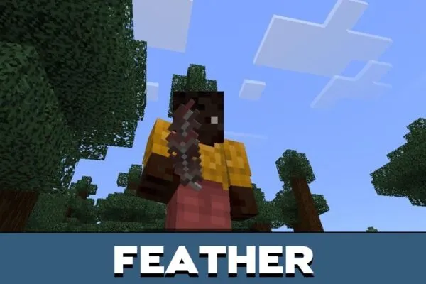 Feather from Turkey Mod for Minecraft PE