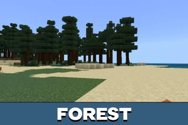 Forest from More Tree Variants Mod for Minecraft PE