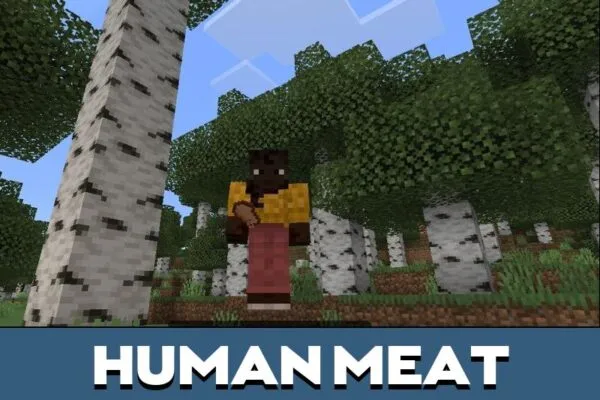 Human Meat from Cannibal Mod for Minecraft PE