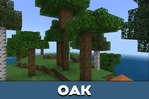 Oak from More Tree Variants Mod for Minecraft PE