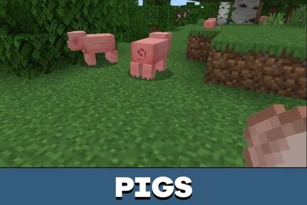 Pigs from Better MobCap Mod for Minecraft PE