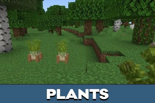 Plants from Gooblicraft Furniture Mod for Minecraft PE