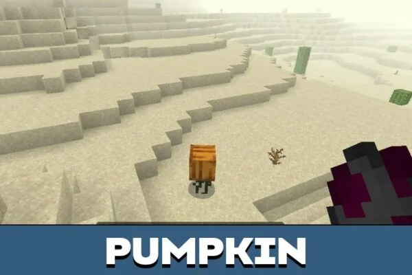 Pumpkin from Other Worldly Mod for Minecraft PE