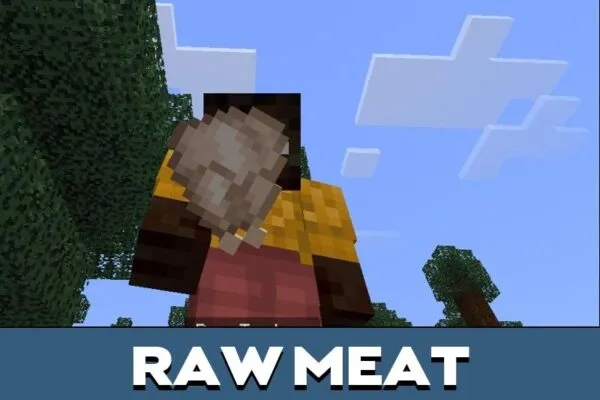 Raw Meat from Turkey Mod for Minecraft PE