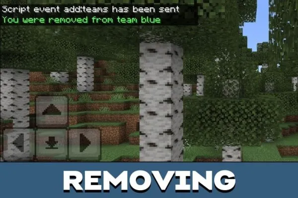 Removing from Teams Mod for Minecraft PE