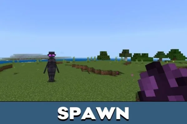 Spawn from Enderwoman Mod for Minecraft PE