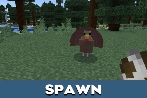 Spawn from Turkey Mod for Minecraft PE