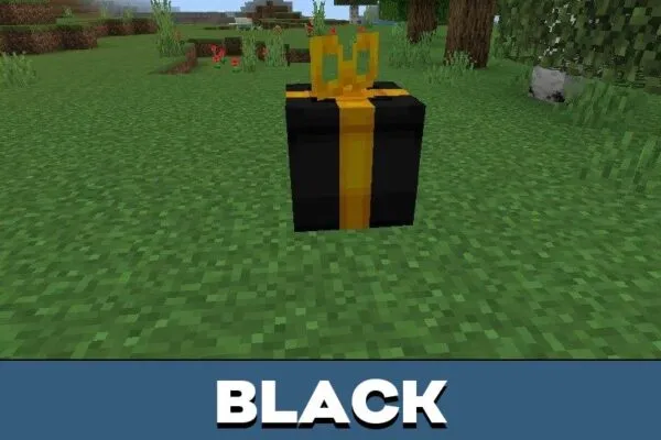 Black from Gift Mod for Minecraft PE