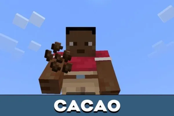 Cacao from 1 Click Harvest Mod for Minecraft PE