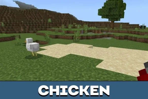 Chicken from Fresh Animations Texture Pack for Minecraft PE