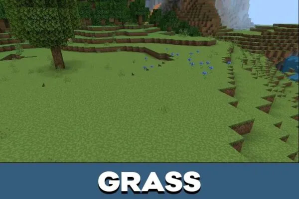 Grass from Single Pixels Texture Pack for Minecraft PE