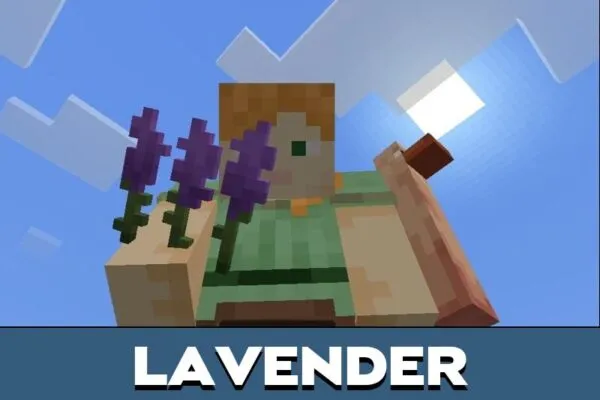 Lavender from Wilder World Mod for Minecraft PE