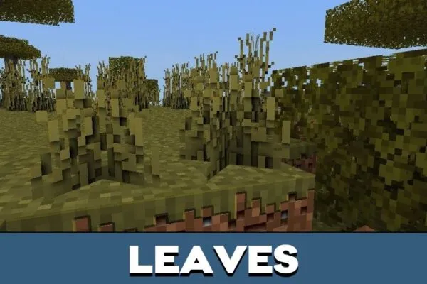 Leaves from Classic 3D Texture Pack for Minecraft PE