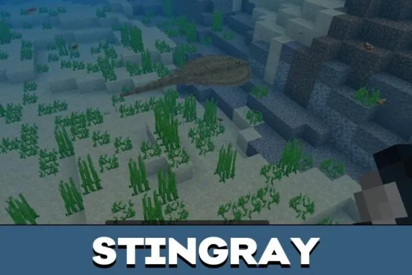 Stingray from Monster Fish Mod for Minecraft PE