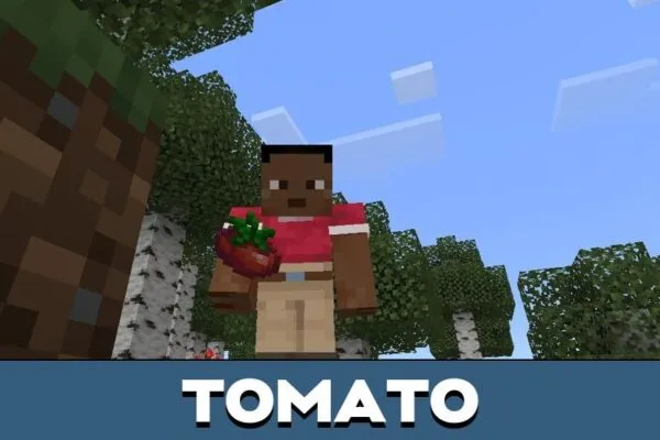 Tomato from Farmers Delight Mod for Minecraft PE