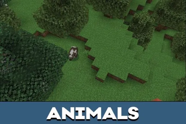 Animals from Complementary Shader for Minecraft PE