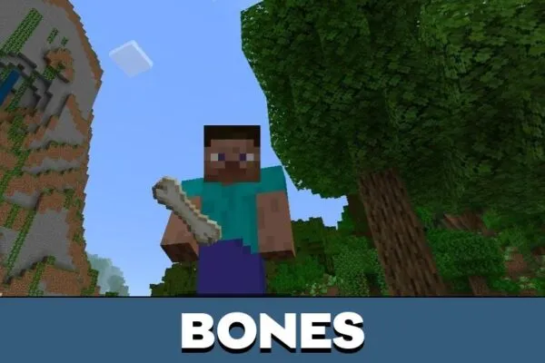 Bones from Alexs Cave Mod for Minecraft PE