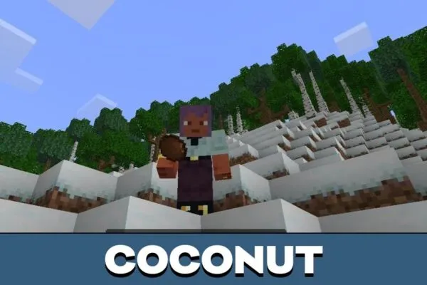 Coconut from Dynamic Trees Mod for Minecraft PE