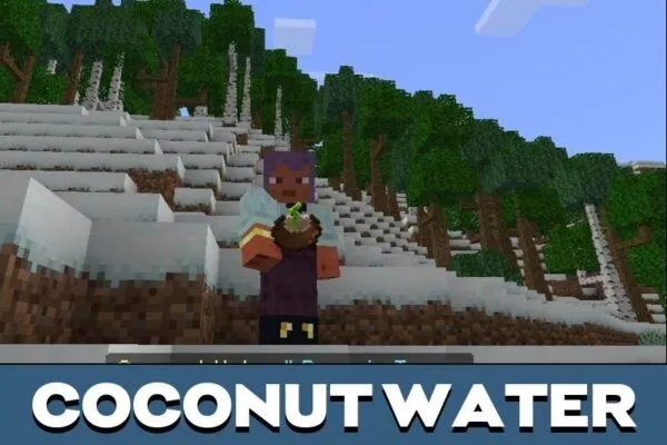 Coconut Water from Dynamic Trees Mod for Minecraft PE