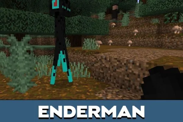 Enderman from Outfitted Mobs Mod for Minecraft PE