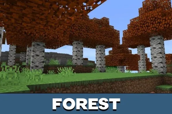 Forest from RG Forest Shader from Minecraft PE